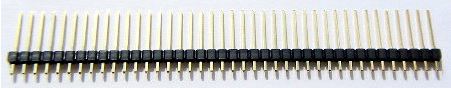 Pin-strip maschio